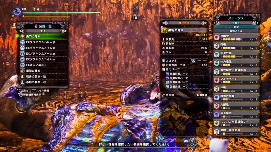 使用した武器防具一式とスキル画像