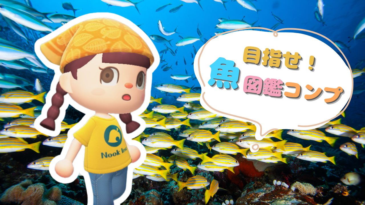 魚図鑑コンプの記事のアイキャッチ